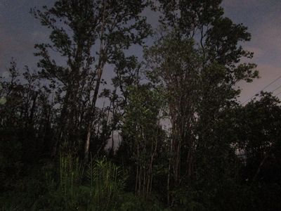 Noe Kuahiwi Rd Lot 34, Volcano, HI, 96785