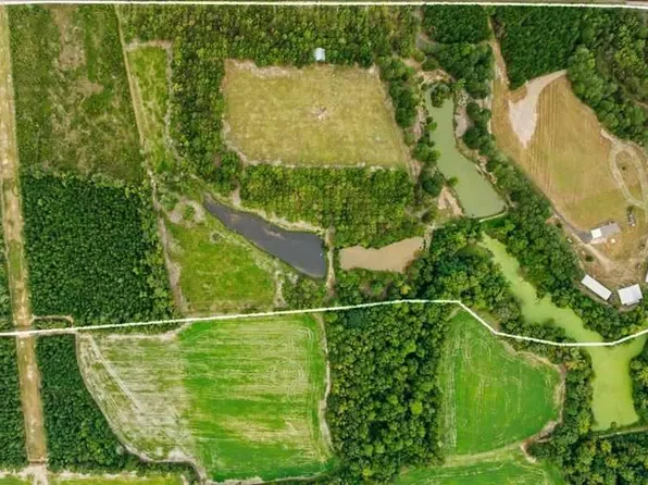 Evans Farm Rd Tract 4, Pamplico, SC 29583