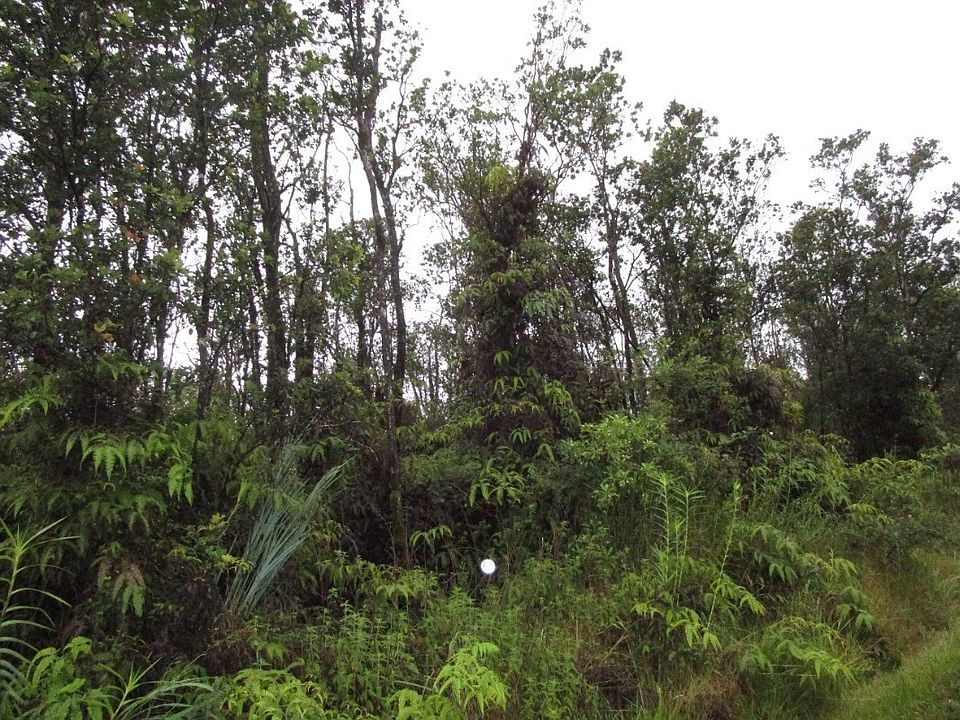 2nd image of Makoa Rd Lot 4