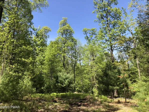 LOT 8C Bear Paw Dr, Lakeville, PA 18438