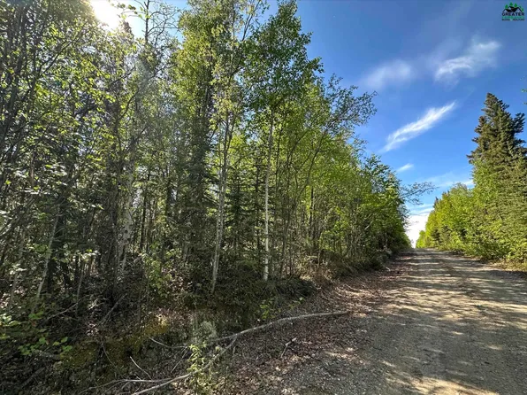L2 Leng Rd, Delta Junction, AK 99737