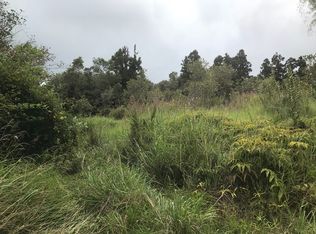 N Glenwood Rd LOT 2, Volcano, HI 96785