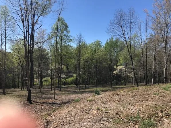LOT 18 Piney View Dr, Spring City, TN 37381