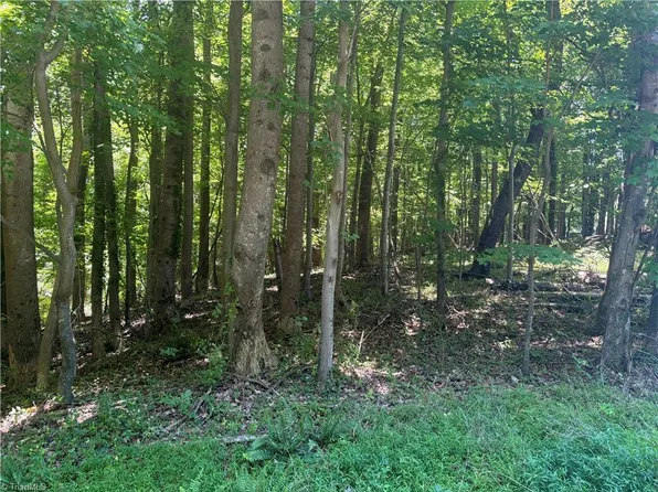Golf Course Rd, Pilot Mountain, NC 27041