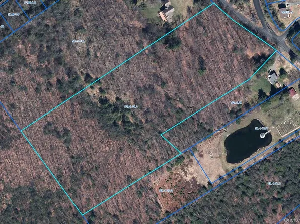 TBD Old Sackett Road, Rock Hill, NY 12775