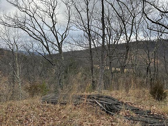 4th image of 365 Strauter Rd