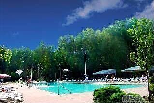 Beautiful Olympic Size Pool
