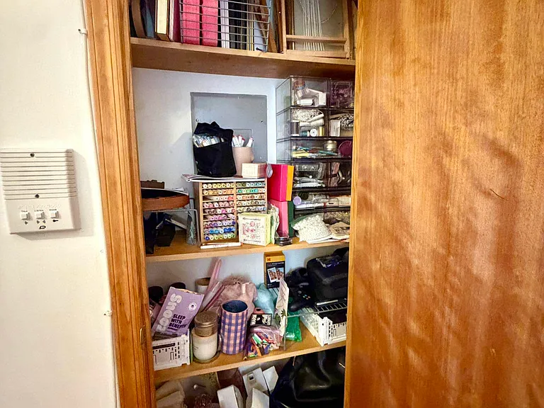 125 Bedford Ave #4R — Photo 6
