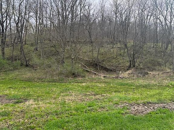 3rd image of 00 BLOOMINGDALE ROAD #46.3 Ac. M