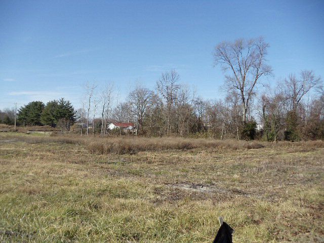 2nd image of 1024 Shag Rag Rd