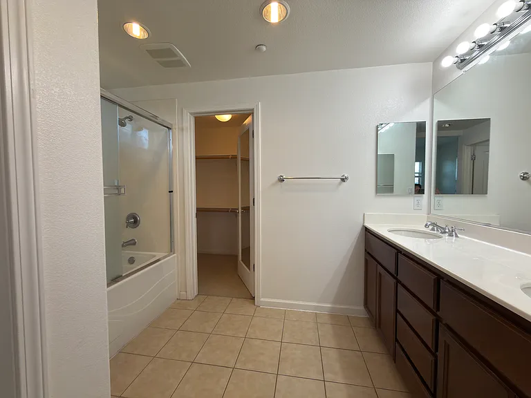 Master Bathroom + Closet