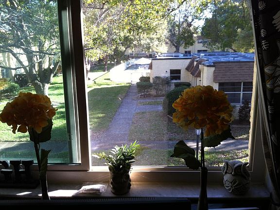 view of courtyard from living room