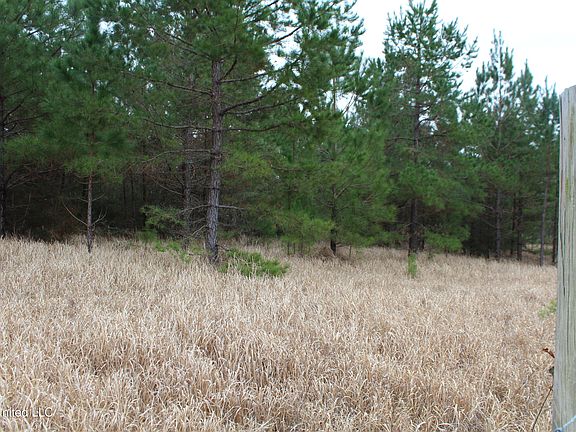5th image of Old Highway 63n
