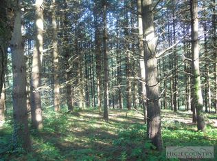 Tbd River Hills Rd, Lansing, NC 28643