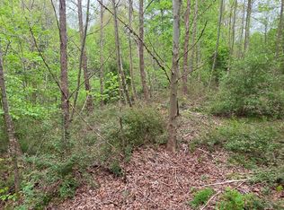 0 Wingate Rd, Summersville, WV 26651