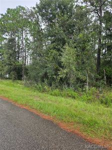 1299 W Tacoma St, Hernando, FL, 34442