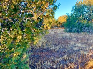 8389 Bear Meadow Dr, Show Low, AZ 85901