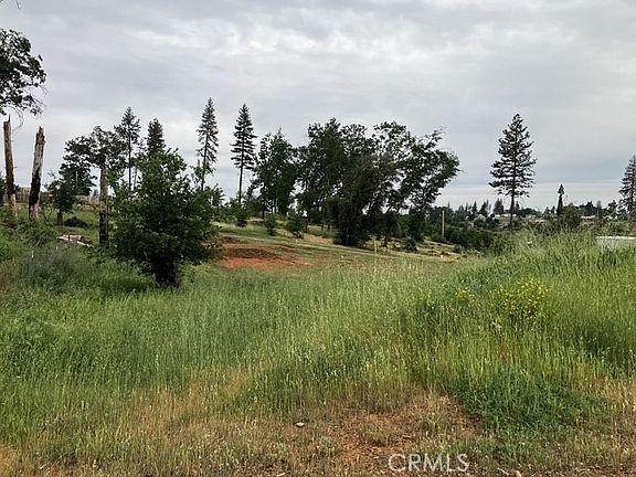 4th image of 1318 Pearson Rd