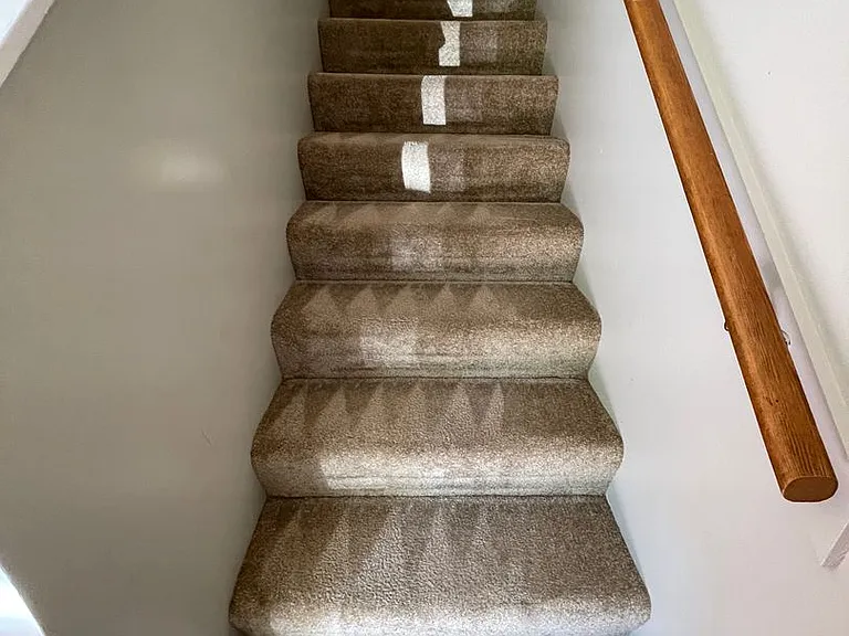 220 Candlebrook Dr — Photo 10