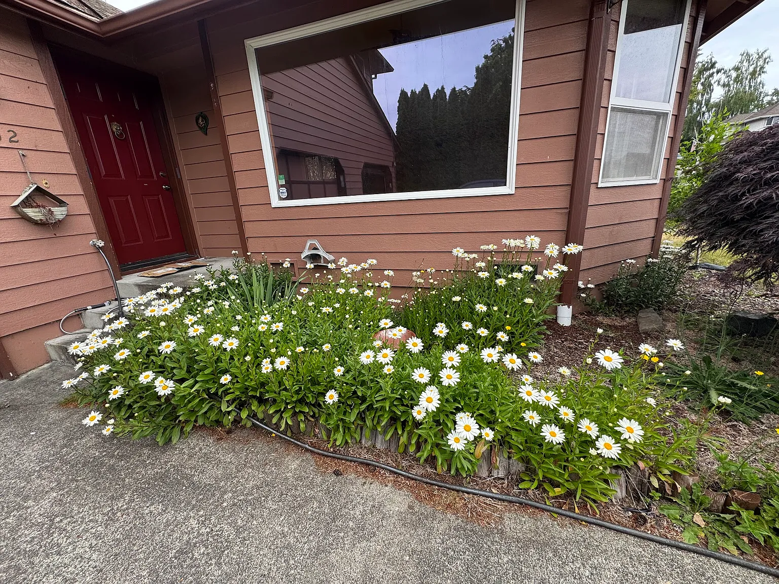 3 bed, 2.5 bath, 2059 sqft, $3,500 — Photo 3