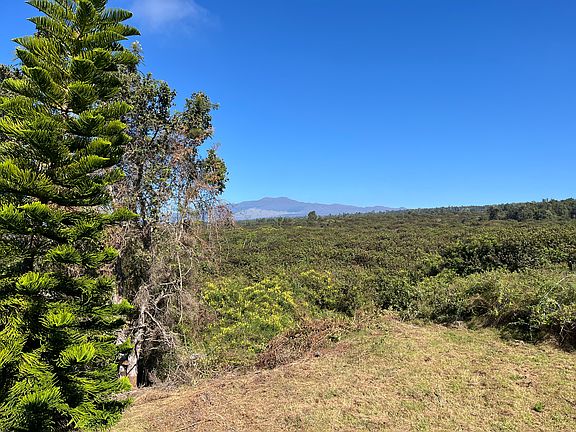 3rd image of 5 Puu Lehua Dr