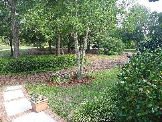 park like front yard