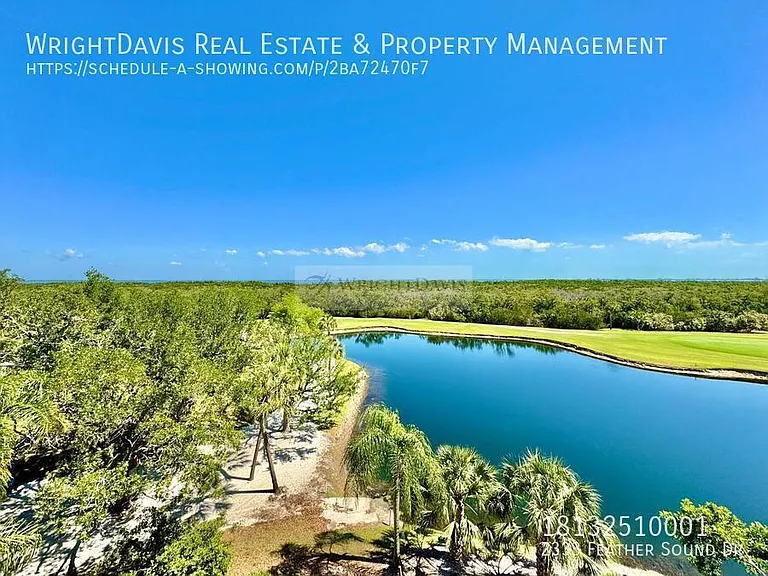 2333 Feather Sound Dr — Photo 29