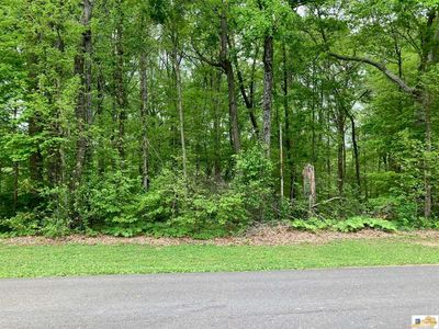 LOT Woodhaven Dr, Tompkinsville, KY, 42167