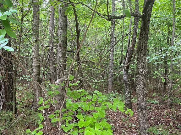 5th image of 2426 Ore Bank Rd