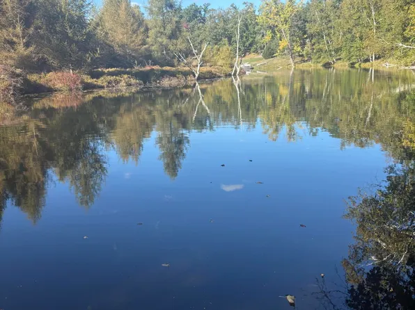 9025 Boggie Dr, Stanwood, MI 49346