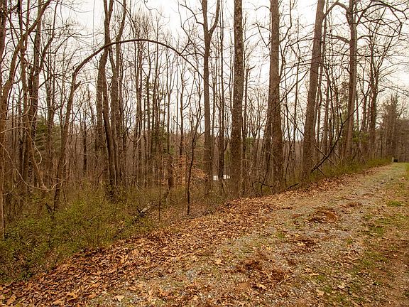 4th image of LOT 356 Scotch Pine Dr