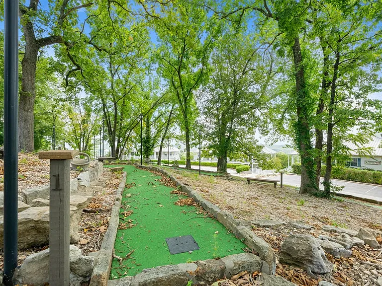 393 Ozark Mountain Resort Dr #55 — Photo 19