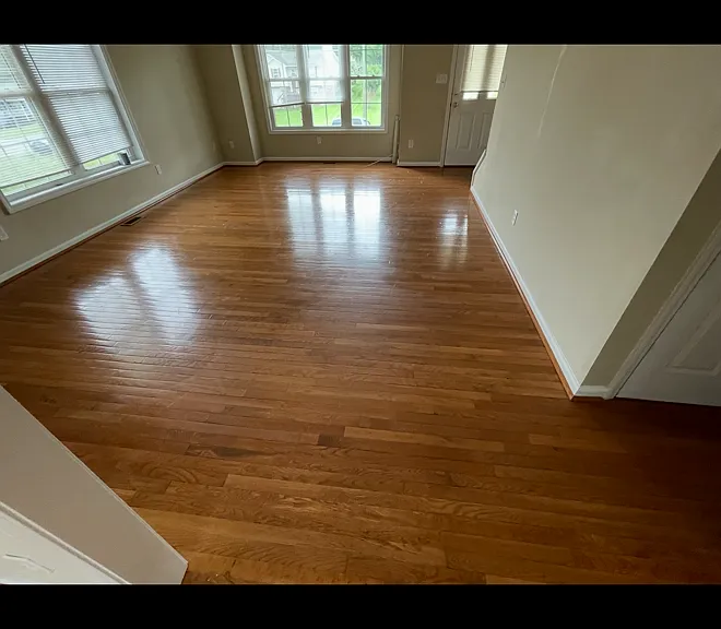 85 Johns Ct — Photo 5
