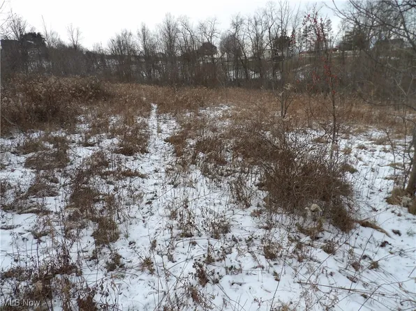 Belmont Centerville Rd, Belmont, OH 43718