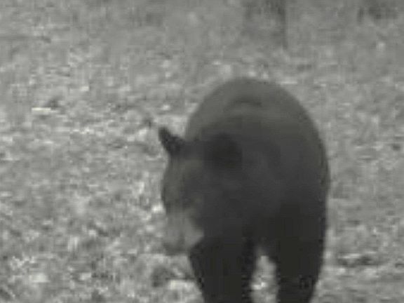 2nd image of 6265 SE Bobcat Trl