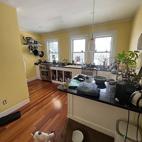 107 Bynner St #2 — Photo 11
