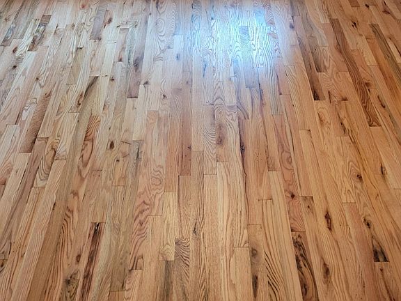 Freshly refinished hardwood floors on main level