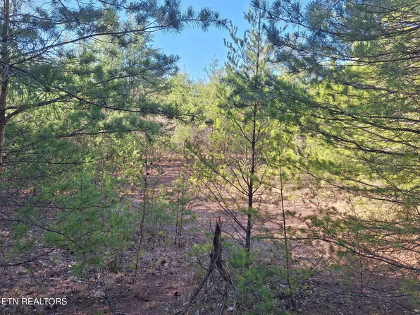 State Highway 360, Tellico Plains, TN 37385