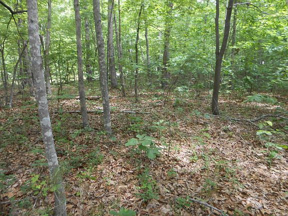 2nd image of Redoak Dr
