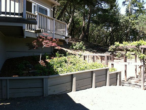 newly planted, next to dog enclosure