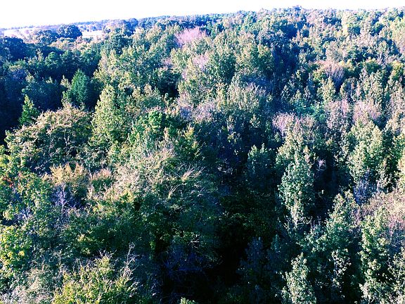 5th image of 0 County Rd SE #4340