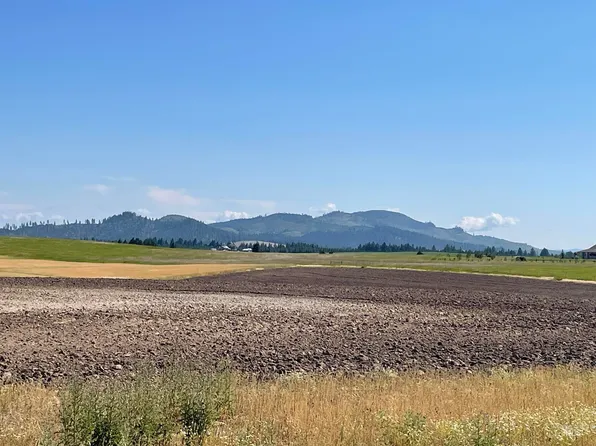 Zimmerman Rd, Deary, ID 83823