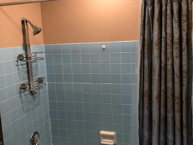 Main bathroom shower