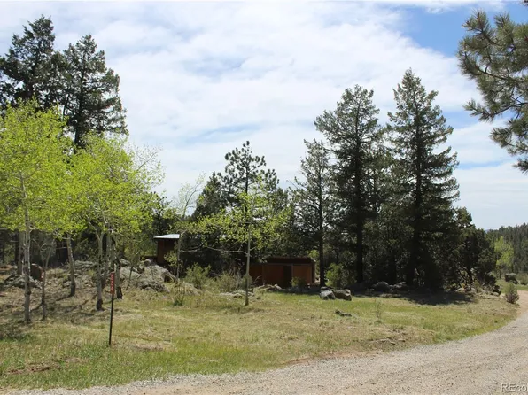 234 Panorama Drive, Bailey, CO 80421