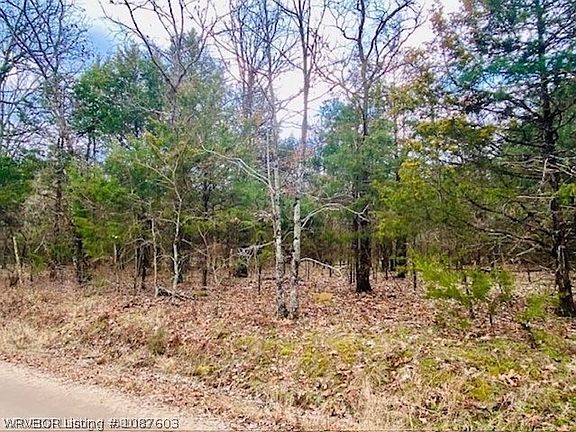 2nd image of Pawpaw Branch Rd