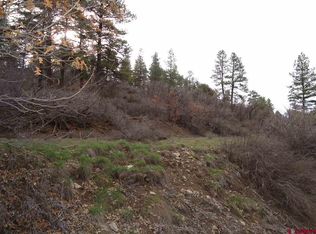 272 Hollow Dr, Pagosa Springs, CO 81147