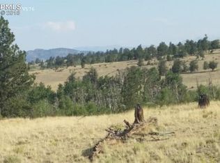2376 Walls St, Hartsel, CO 80449
