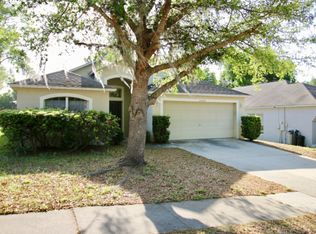 25228 Ironwedge Dr, Mount Plymouth, FL 32776