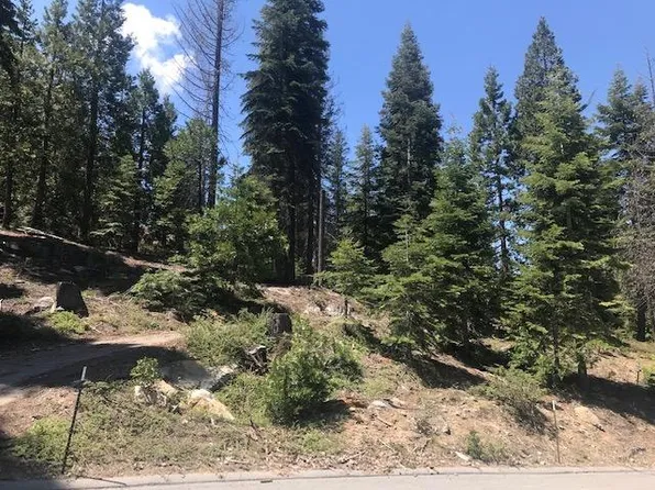 16 Timber Ridge Ln, Shaver Lake, CA 93664