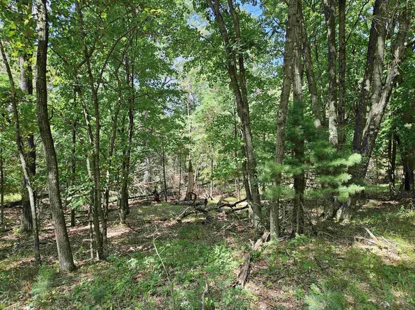 1366 Freedom Court, Wisconsin Dells, WI 53965